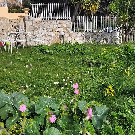 La Maison Des Mots Et Des Notes *